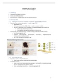 Hematologie - complete samenvatting