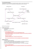 Taal: diagnostiek: samenvatting taalverwerkingsmodel 