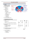 samenvatting praktijk neurokine 1