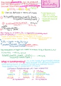 Unit 12 - Stoichiometry 