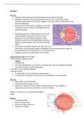 Verpleegkunde samenvatting thema 2 oogzintuigen. Albeda college leerjaar 1 Albeda College. Lesstof ter voorbereiding op de digitale kennistoets 