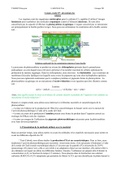 Cours magistral effectué en physiologie des plantes