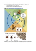 General Basics of biology for  topic given