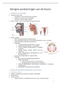 NKO - complete samenvatting