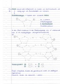 H19 Nectar Biologie VWO 6 DNA