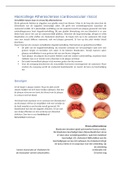 Samenvatting Atherosclerose