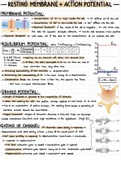 BIPN 100: Human Physiology 1 Review Material