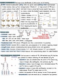 BIMM 100: Molecular Biology Review Material