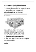 Bacterial physiology