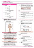 Class notes Anatomy [Appendicular skeleton]