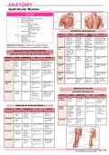 Class notes ANATOMY [Appendicular Muscles]