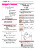 Class notes ANATOMY [Circulatory System]