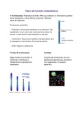 Tema 6: Mutaciones cromosómicas