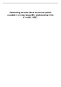 Determining the color of the fluorescent protein encoded in provided plasmid by implementing it into E. coli BL21DE3.