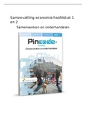 Samenvatting pincode Samenwerken en Onderhandelen 4/5 havo