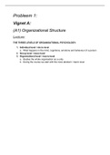 Organisational Psychology (3.5C): problem 1 