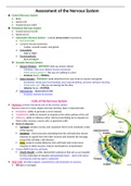 NUR Med Surg 2 Assessment of neuro system/ Study guide/ Download to Score A+