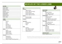 Complete Table of Lower Limb Muscles with Images