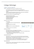 Samenvatting pathologie orthopedie 2 leerjaar 2