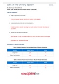 BIO 202L Lab 14 Worksheet- The Urinary System