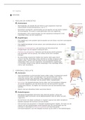 samenvatting biologie thema 5: regulatie BVJ Havo 