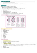 med surg 1 carotid artery disease 