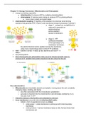 MBOC Chapter 14 - Energy Conversion Mitochondria and Chloroplasts