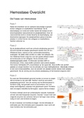 BB (Bloed en Bloedvormende Organen) Overzicht Hemostase