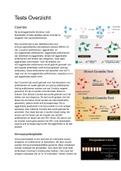 BB (Bloed en Bloedvormende Organen) Overzicht Diagnostische Tests