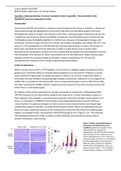 Neuroprotection in human ischaemic stroke is possible.  Discuss whether this hypothesis has been adequately tested 