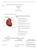 Week  1  Newsletter.docx  Running head: CARDIOVASCULAR NEWSLETTER  HCS 214  Cardiovascular Newsletter  HCS 214:   University of Phoenix  CARDIOVASCULAR NEWSLETTER  Structure and Function of the Cardiovascular System  ï‚·This system has three head componen