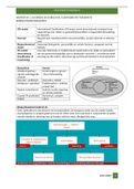 Samenvatting Methodisch Handelen