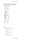 Human Anatomy 7th Edition Marieb Test Bank