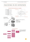 Samenvatting  Neuropedagogiek (P0S66a)