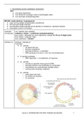 Samenvatting: Doorgeven van DNA tijdens celdeling