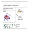 samenvatting: Moleculen mechanismen van genexpressie