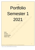 BPT1501 Portfolio Template.docx