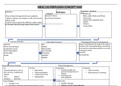 NRSG 210 PERFUSION CONCEPT MAP