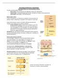 Hoorcollege aantekeningen Neurobiologie (B-B2NEUR10)  Neuroscience, ISBN: 9780878936953