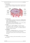 Célula eucariota: núcleo celular - Biología II 2ºBACH