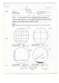 Bio 215 Lab Report 2 | Microscopy | Graded 9/10