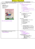 NURSING 306 - OB Exam 3 Study Guide.