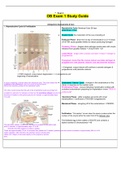 NURSING 306 - OB Exam 1 Study Guide.