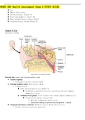 NURS 306 Health Assessment Exam 2 STUDY GUIDE.