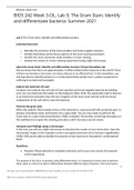 BIOS 242 Week 3-OL, Lab 3; The Gram Stain; Identify and differentiate bacteria: Summer 2021