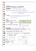 Conduction, Convection and Radiation Notes Year 9