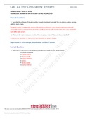 BIO 202L Lab 11 Worksheet- The Circulatory System