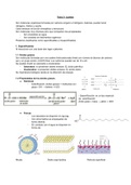 Resumen Biología 