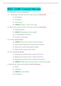 BSC 2346 Cranial Nerves