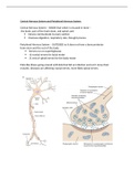 TEST 3 A P NEUROANATOMY FINAL